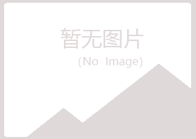 鹤岗兴山冰烟咨询有限公司